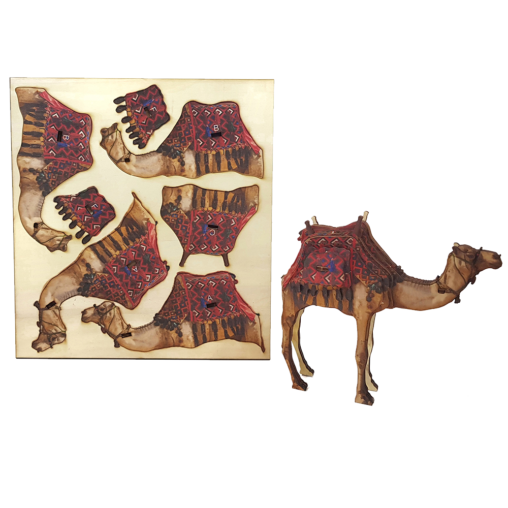 Desert Camel – colored