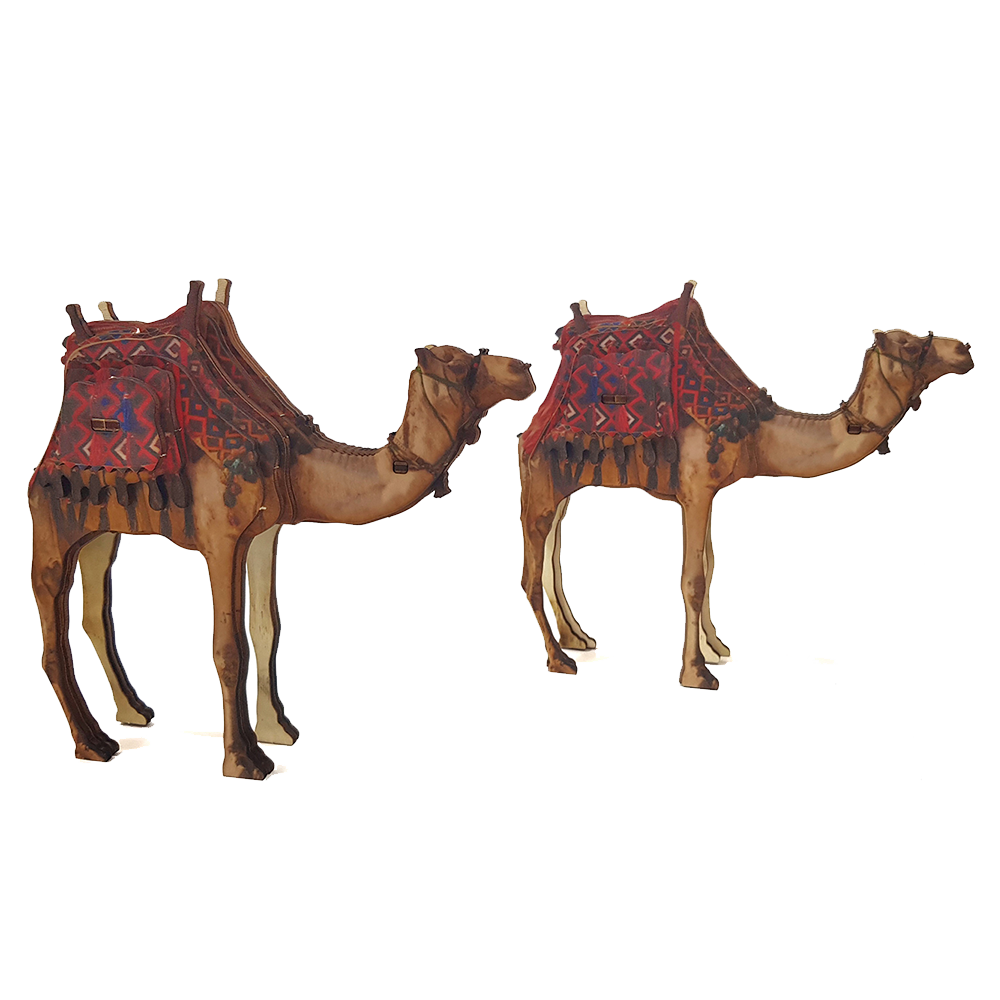 Desert Camel – colored