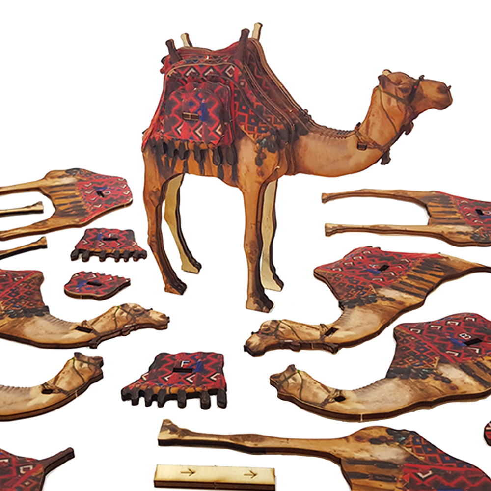 Desert Camel – colored