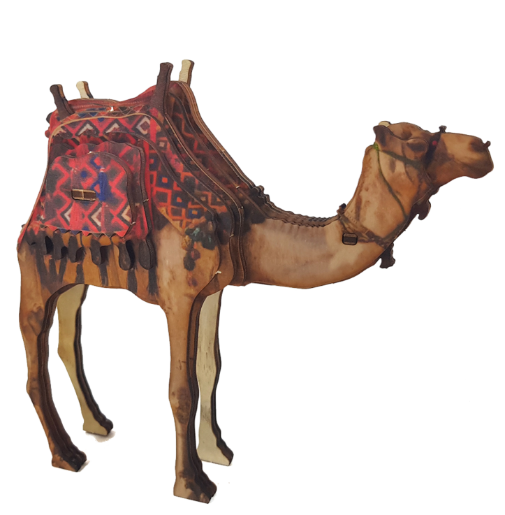 Desert Camel – colored