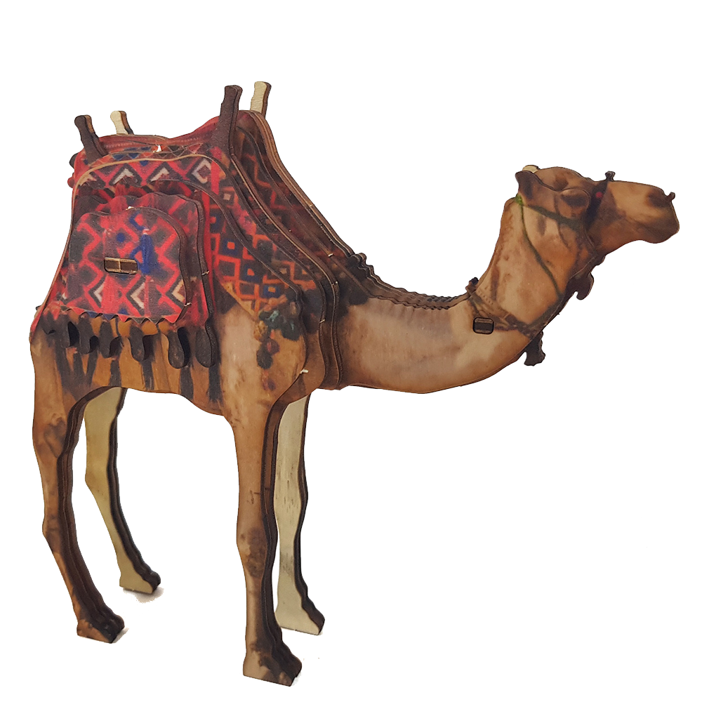 Desert Camel – colored
