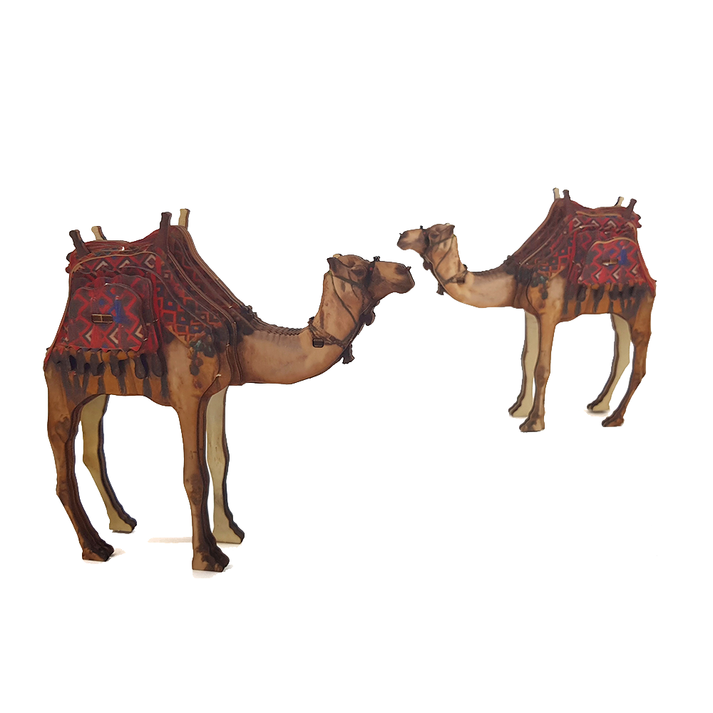 Desert Camel – colored
