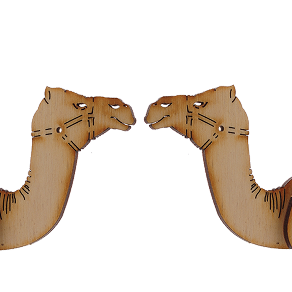 Desert Camel
