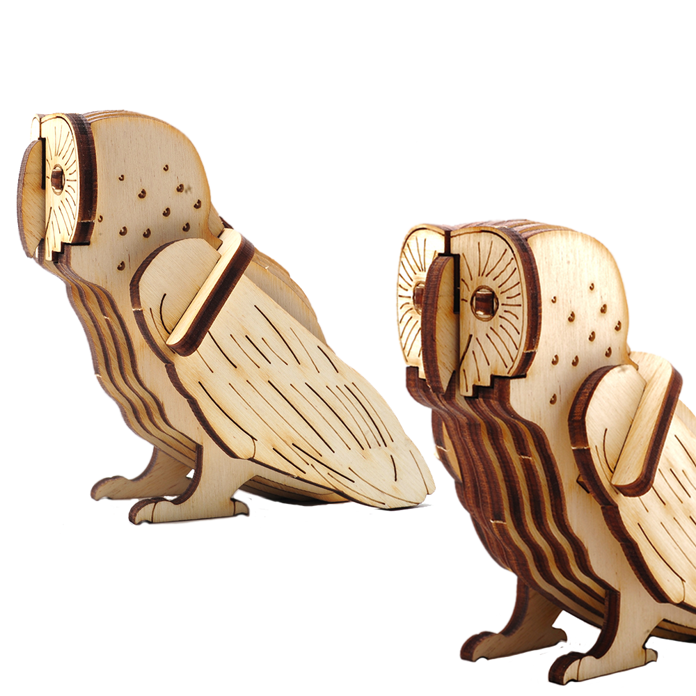Barn Owl