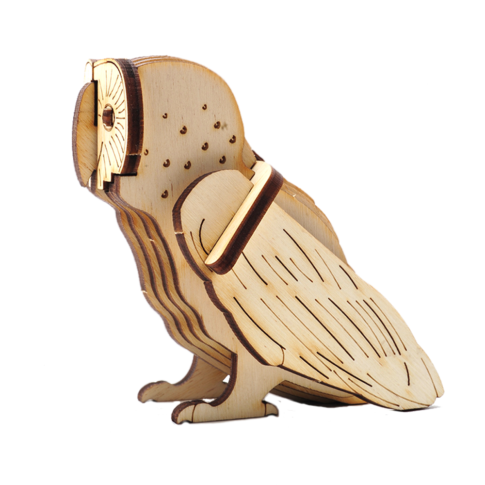 Barn Owl