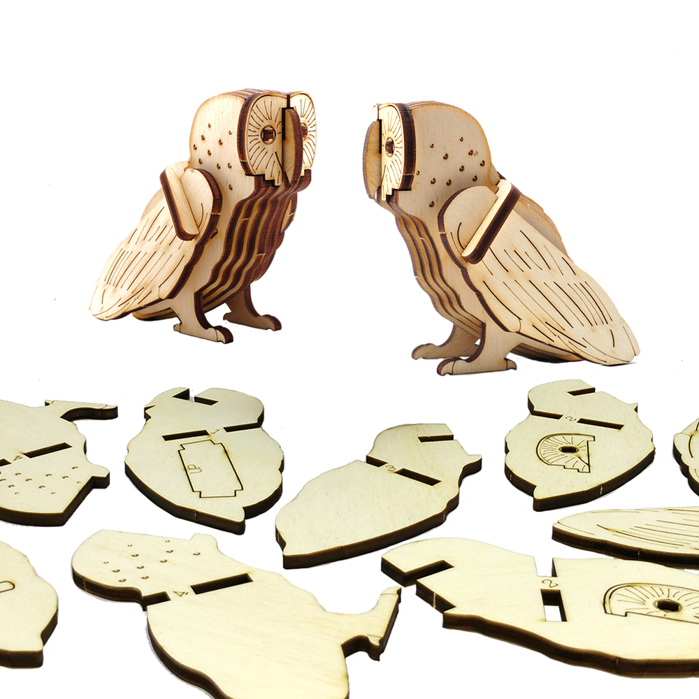 Barn Owl