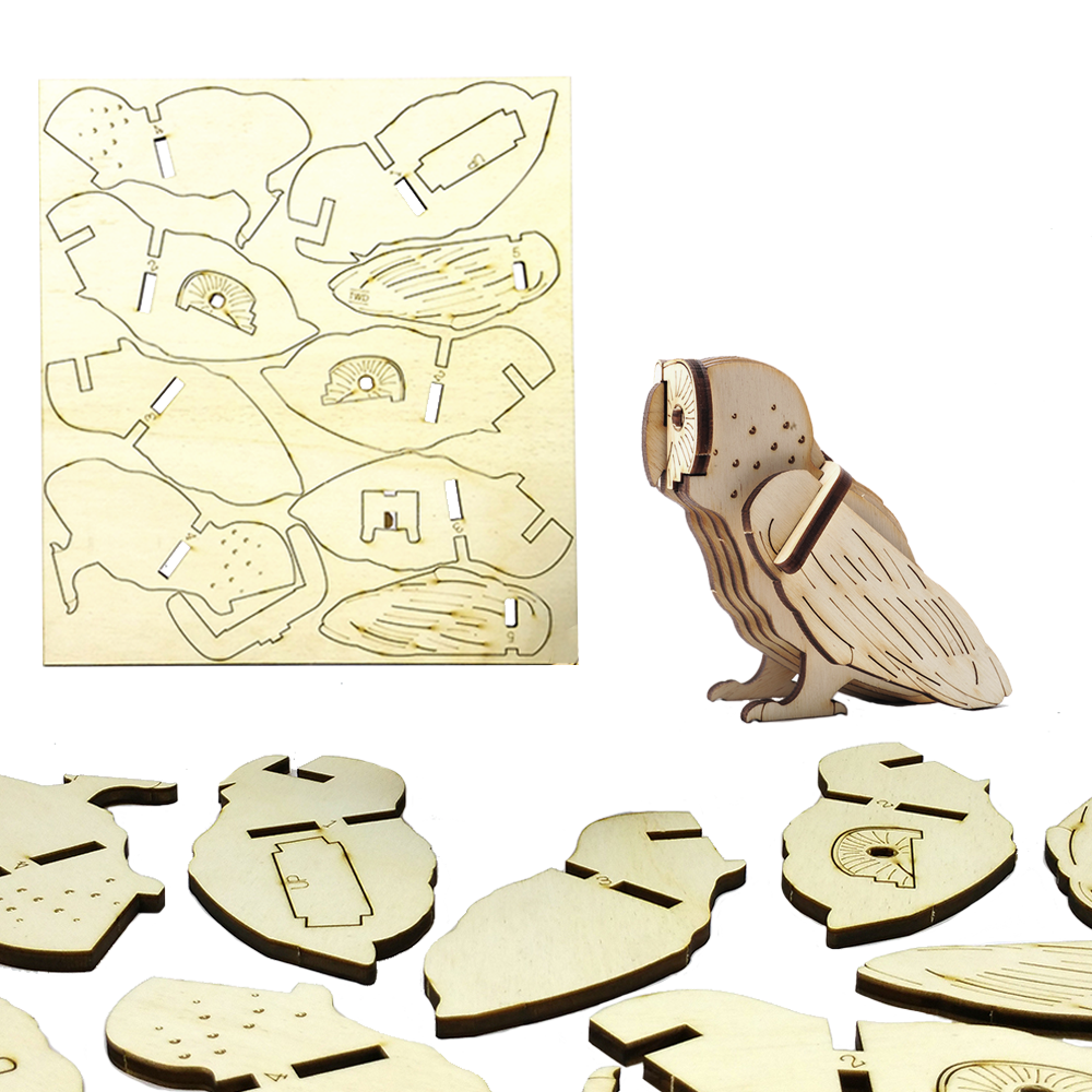 Barn Owl