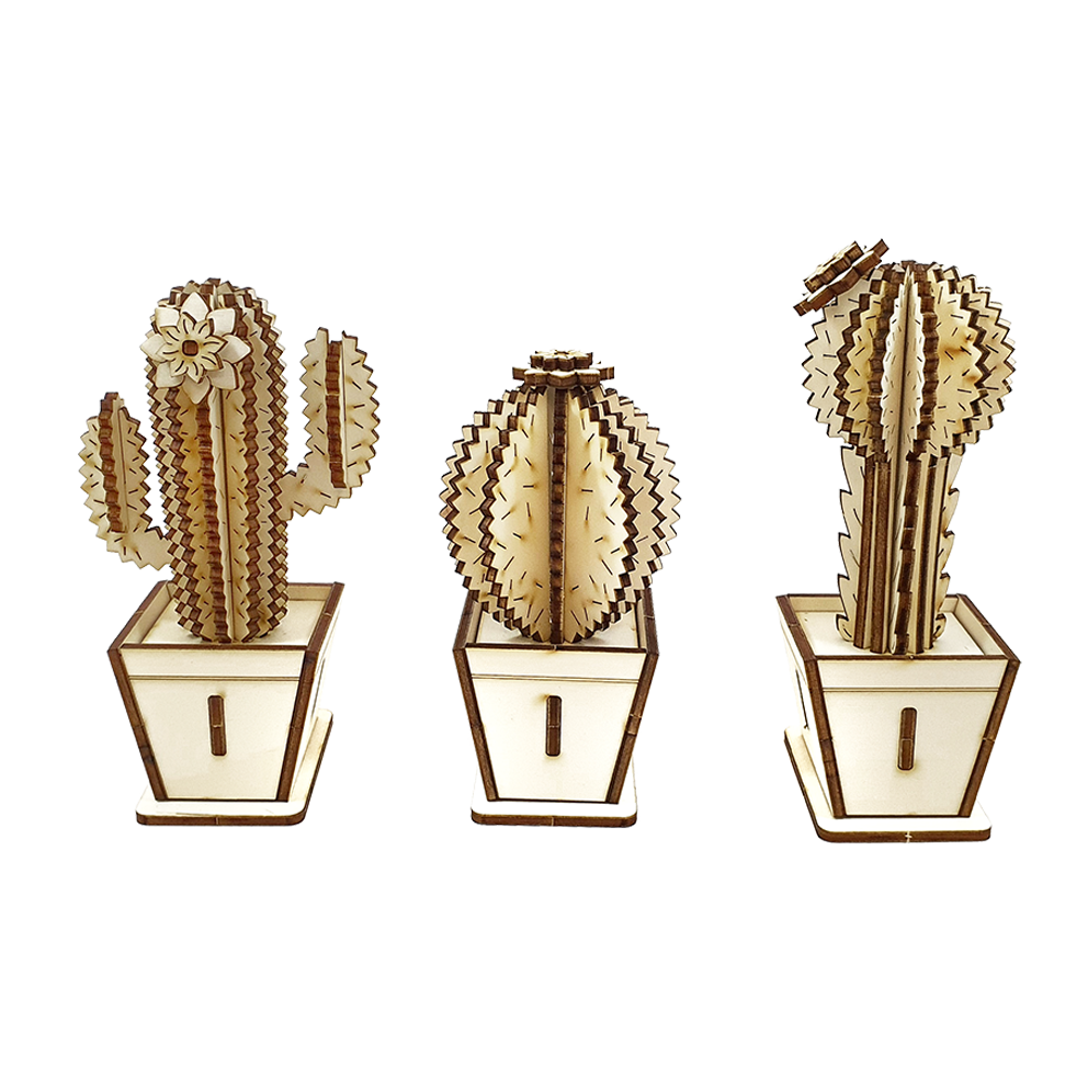 Tall Cactus & Flower D