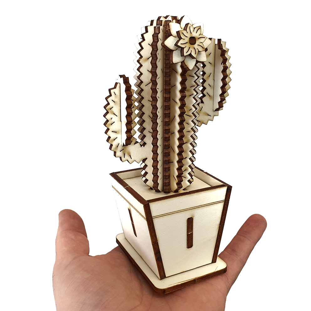 Tall Cactus & Flower D