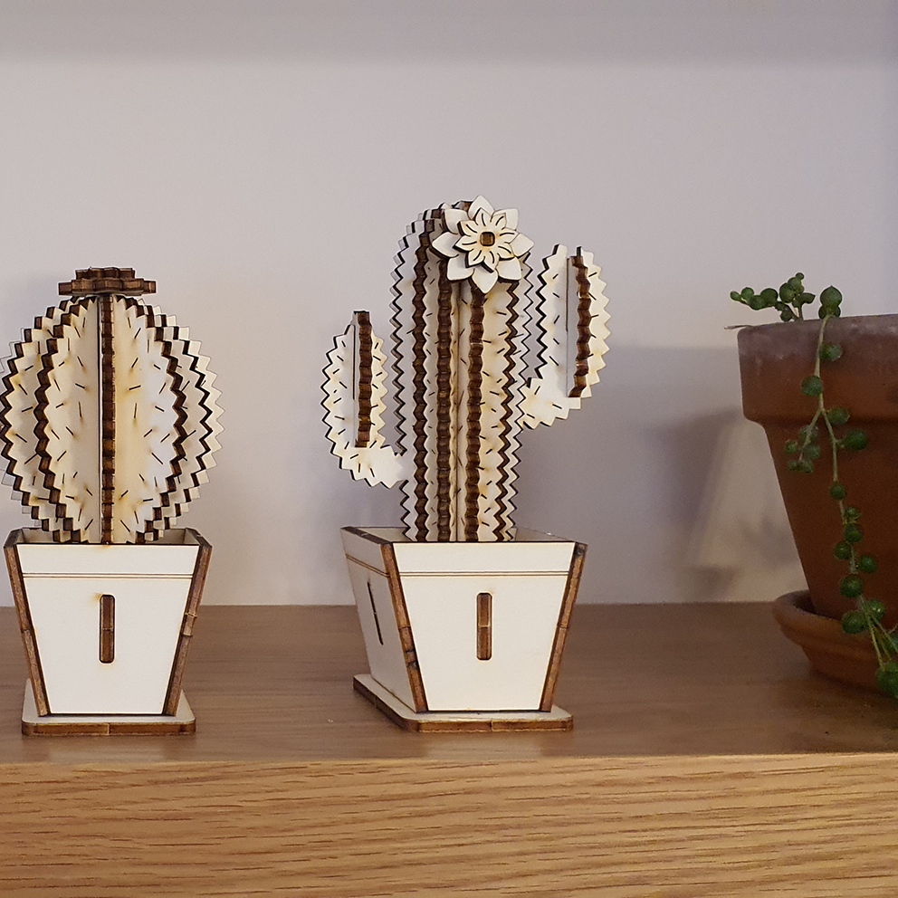 Tall Cactus & Flower D