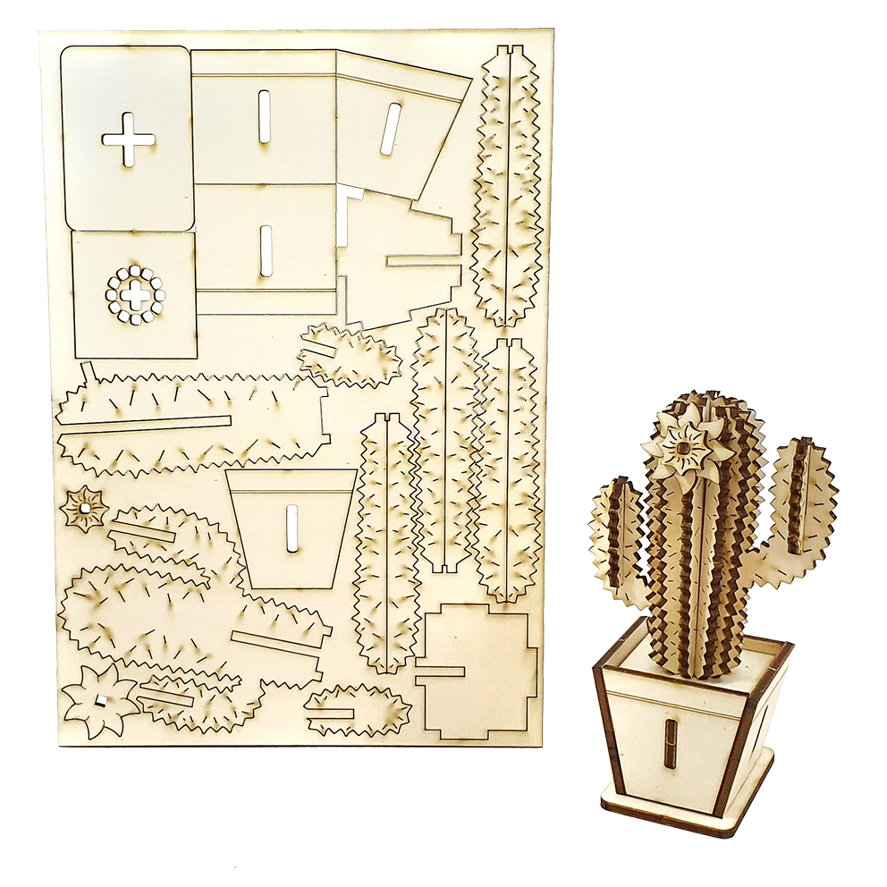 Tall Cactus & Flower D