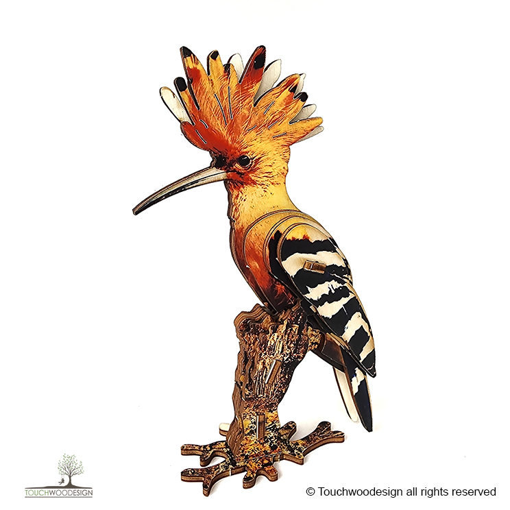 Hoopoe / colored