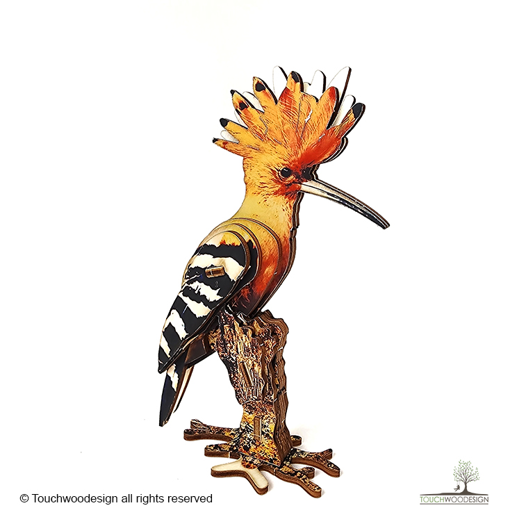 Hoopoe / colored