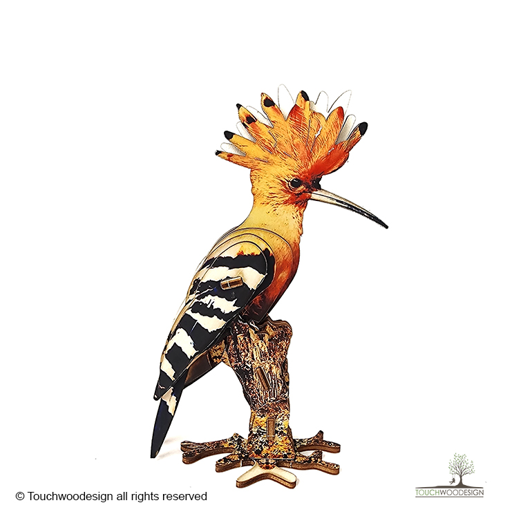 Hoopoe / colored