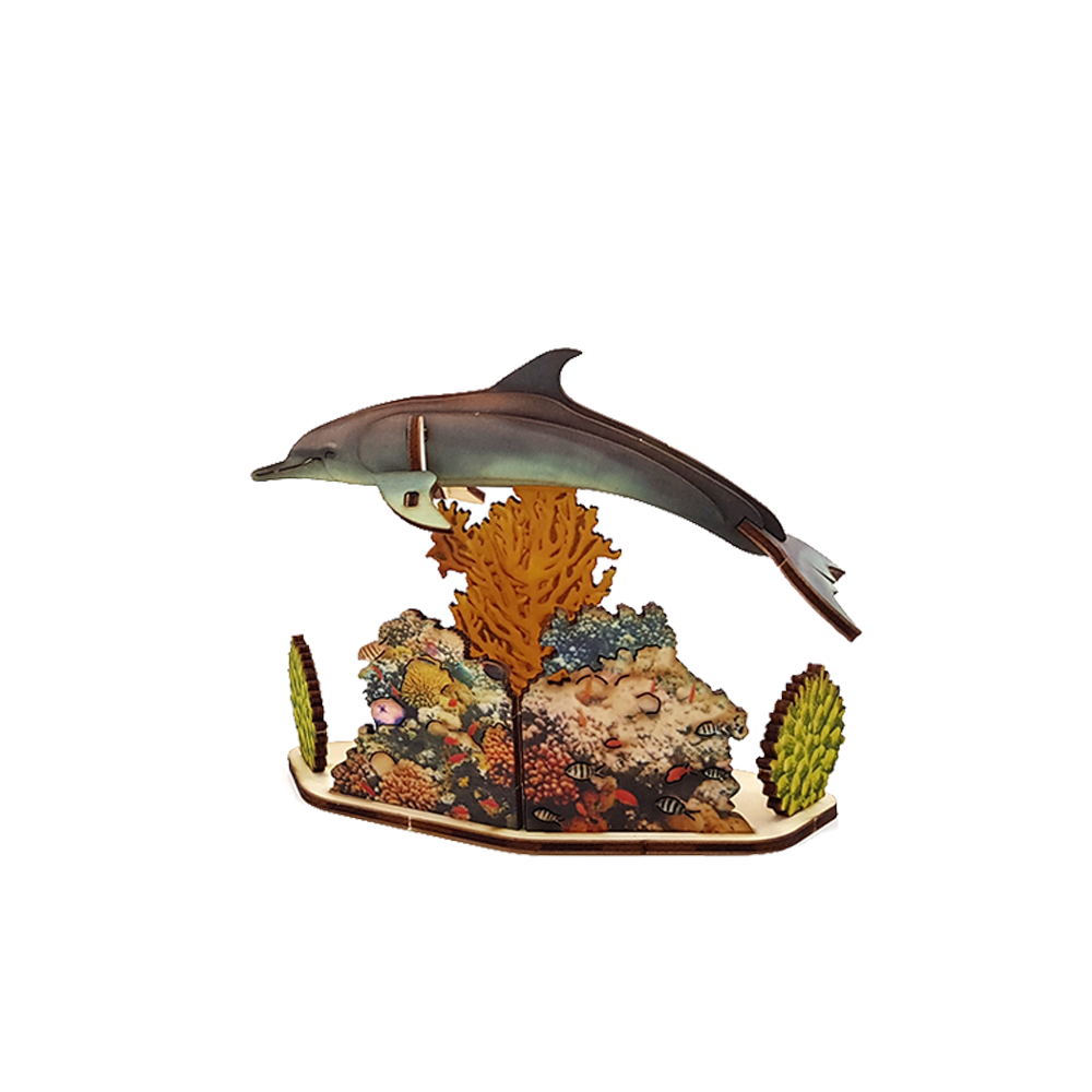 Dolphin & Reef / colored
