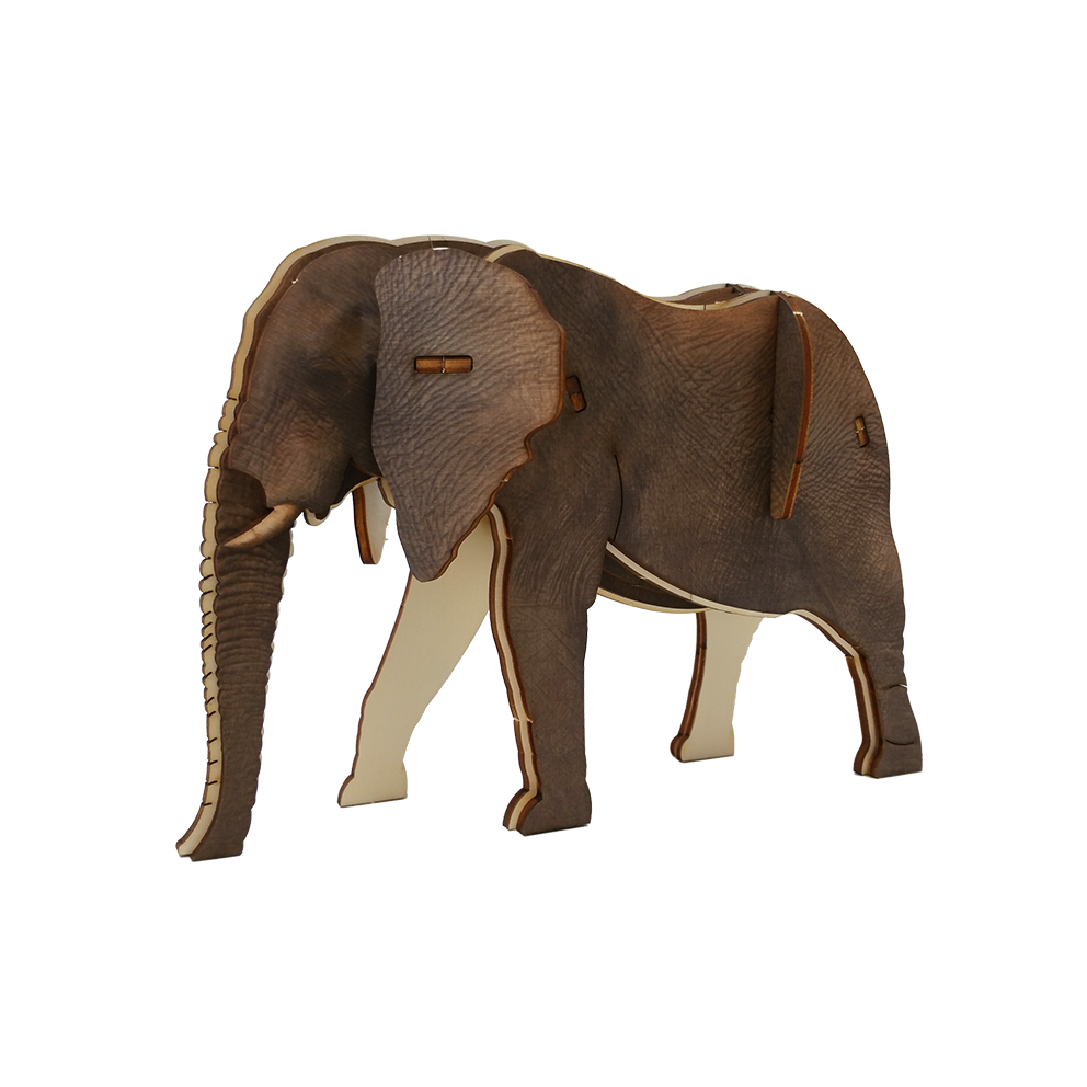 Elephant / colored