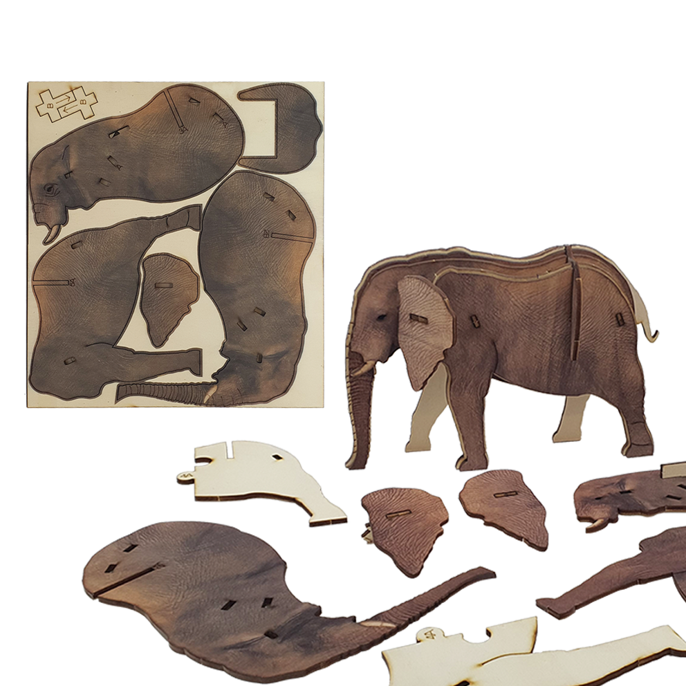 Elephant / colored
