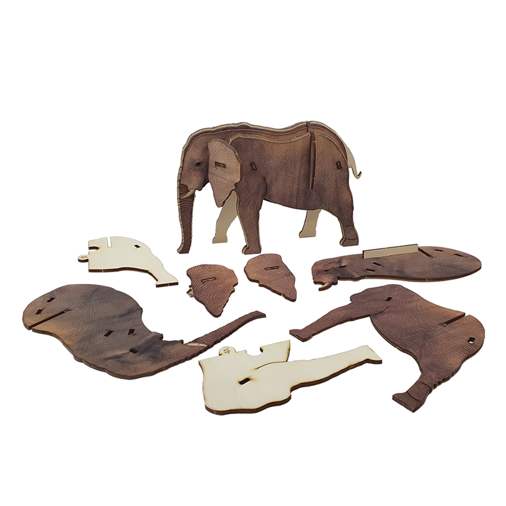 Elephant / colored