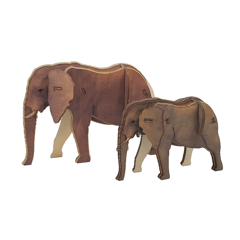 Elephant / colored