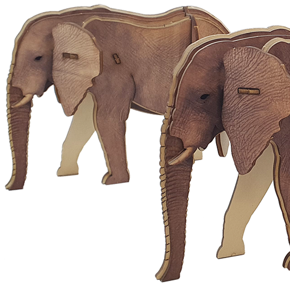 Elephant / colored