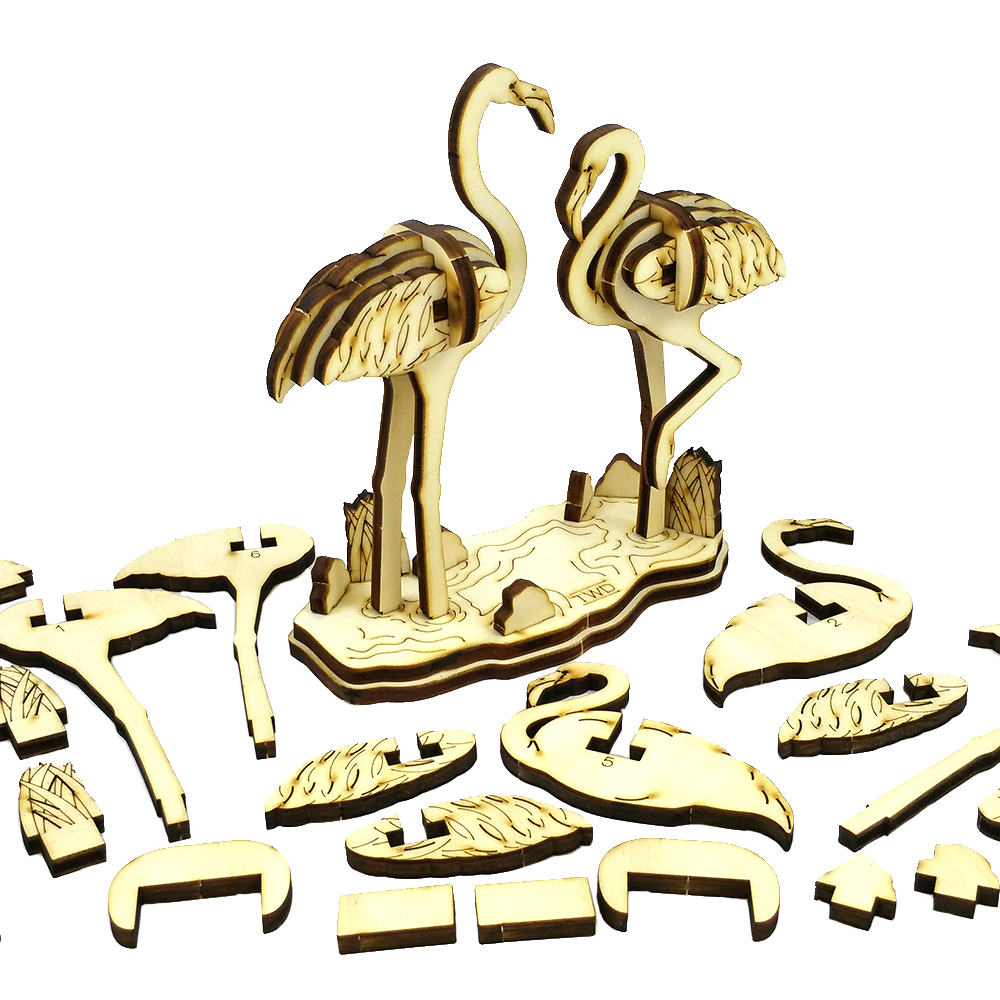 Flamingos