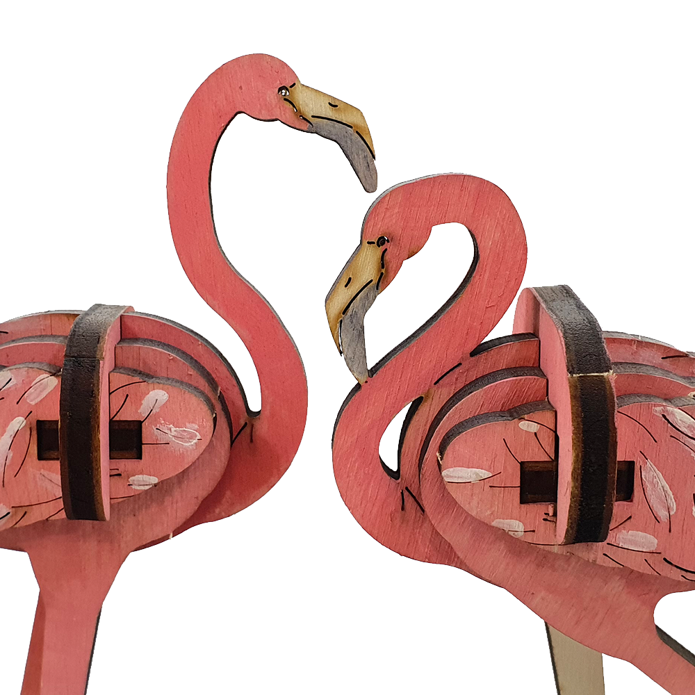 Flamingos
