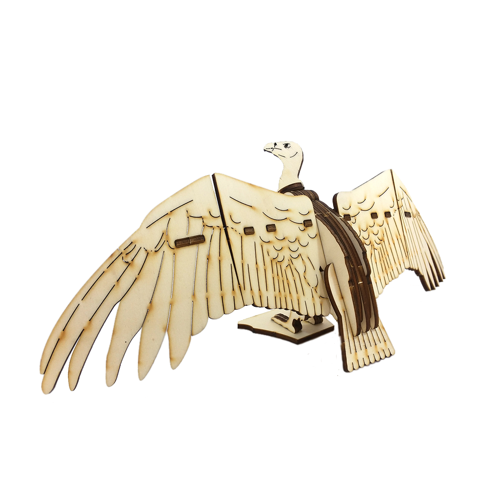 Vulture wings