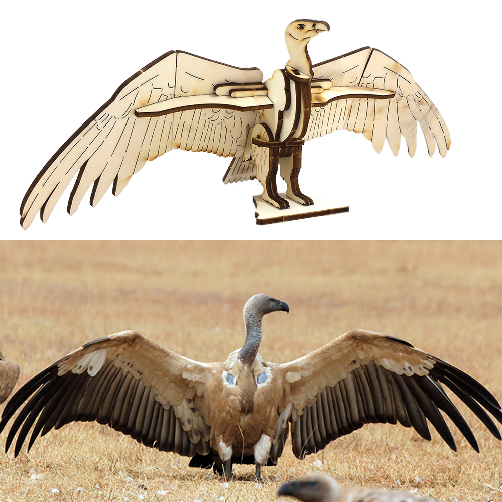 Vulture wings