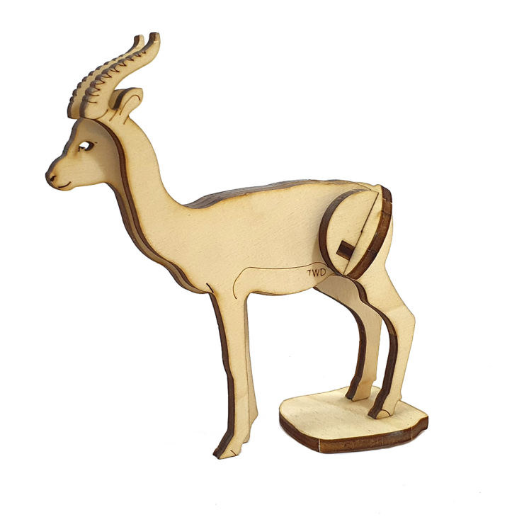 Gazelle Dorcas (DIY)