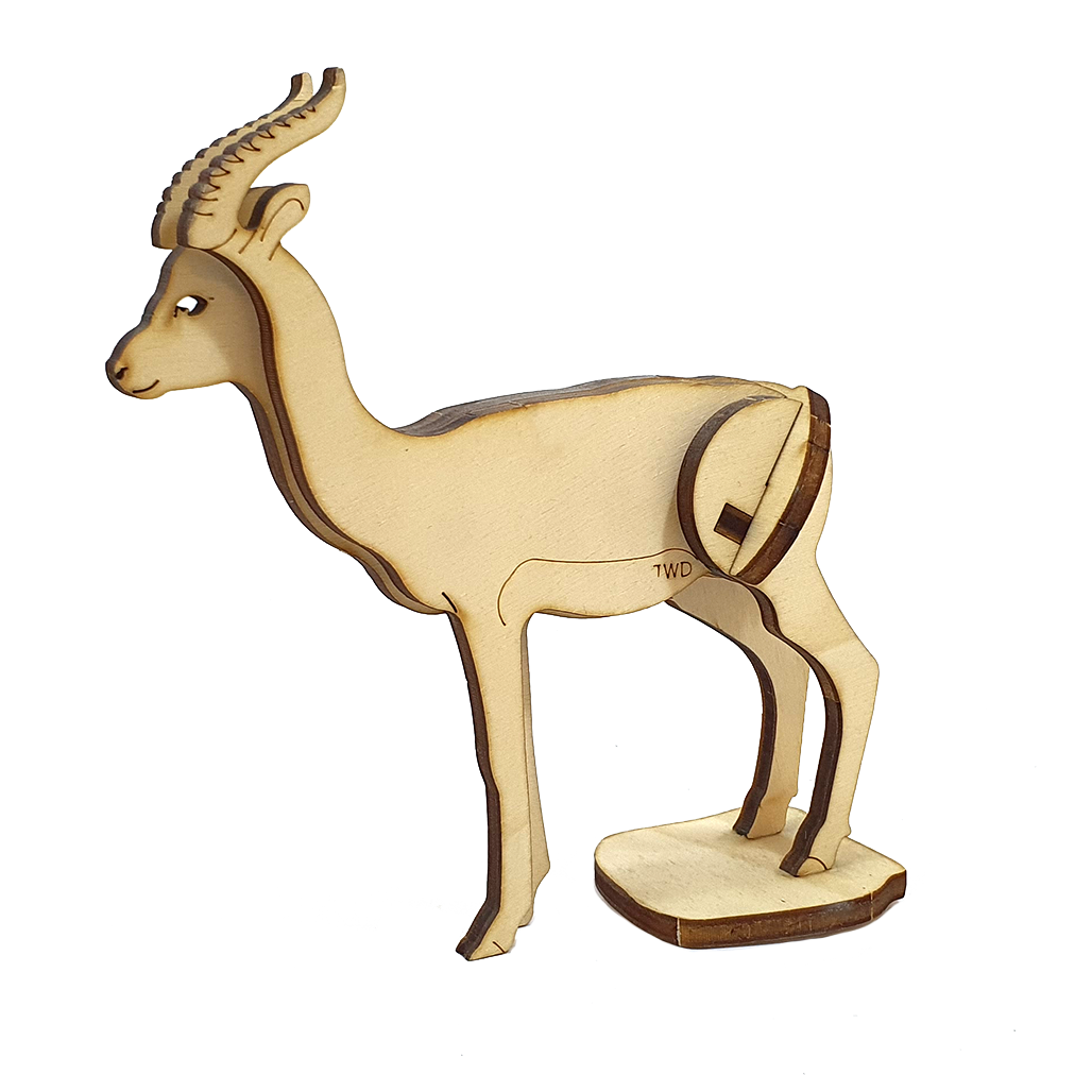 Gazelle Dorcas (DIY)