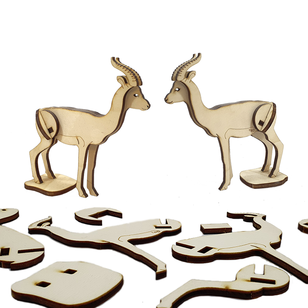Gazelle Dorcas (DIY)