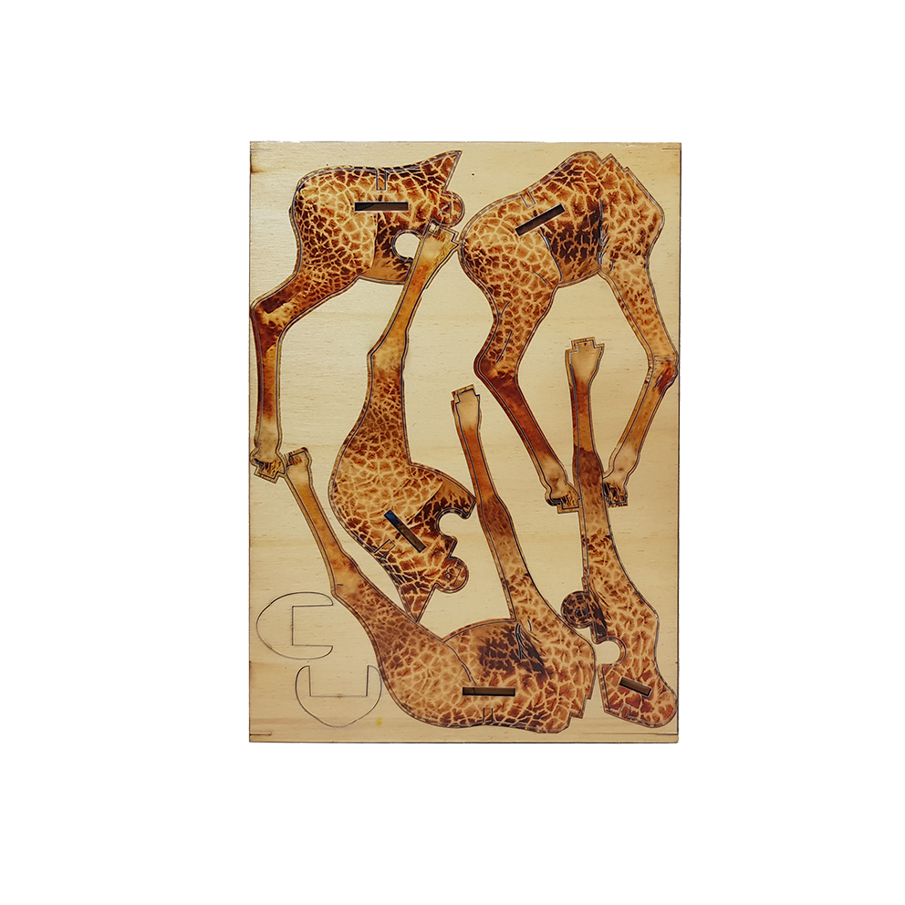 Giraffe / colored