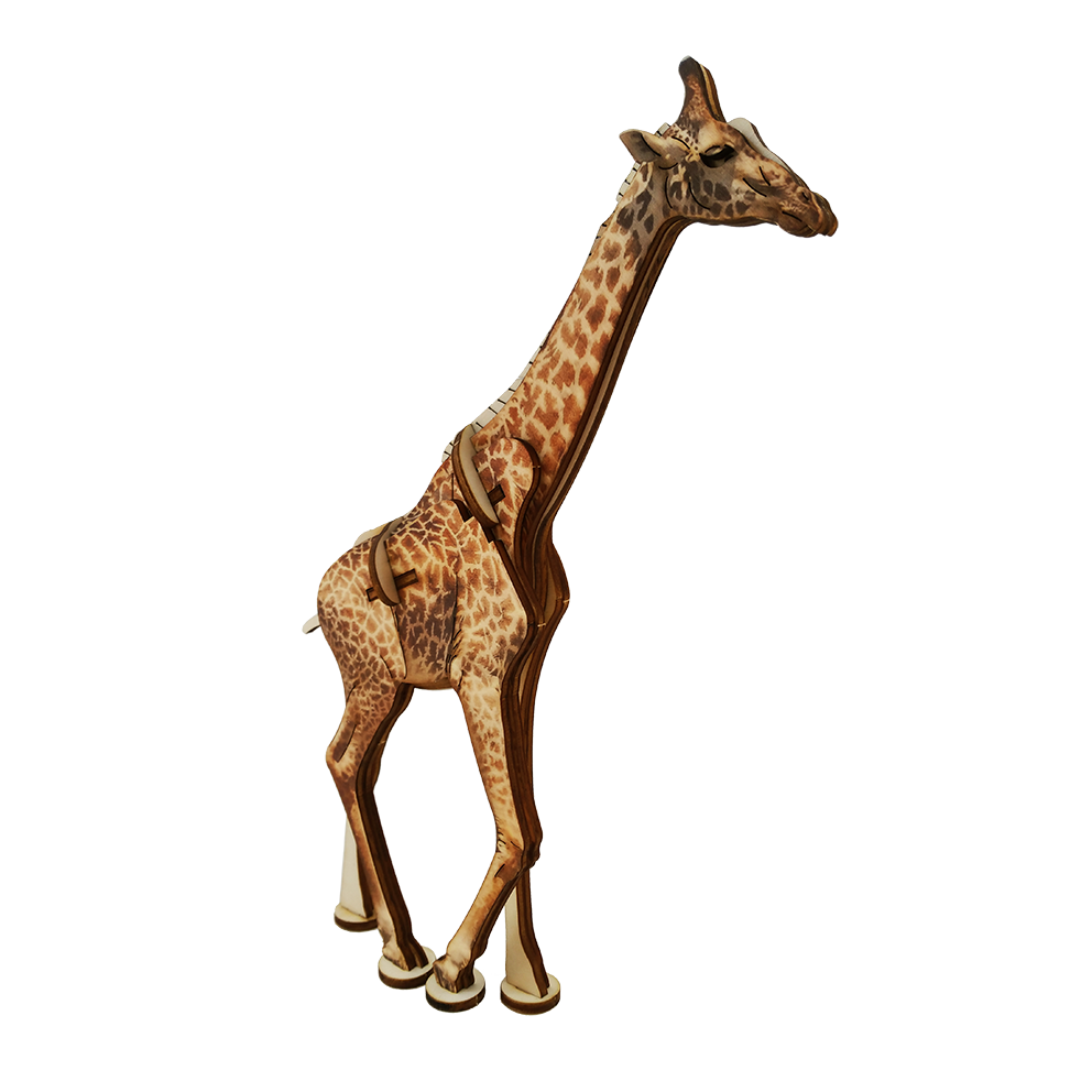 Giraffe / colored