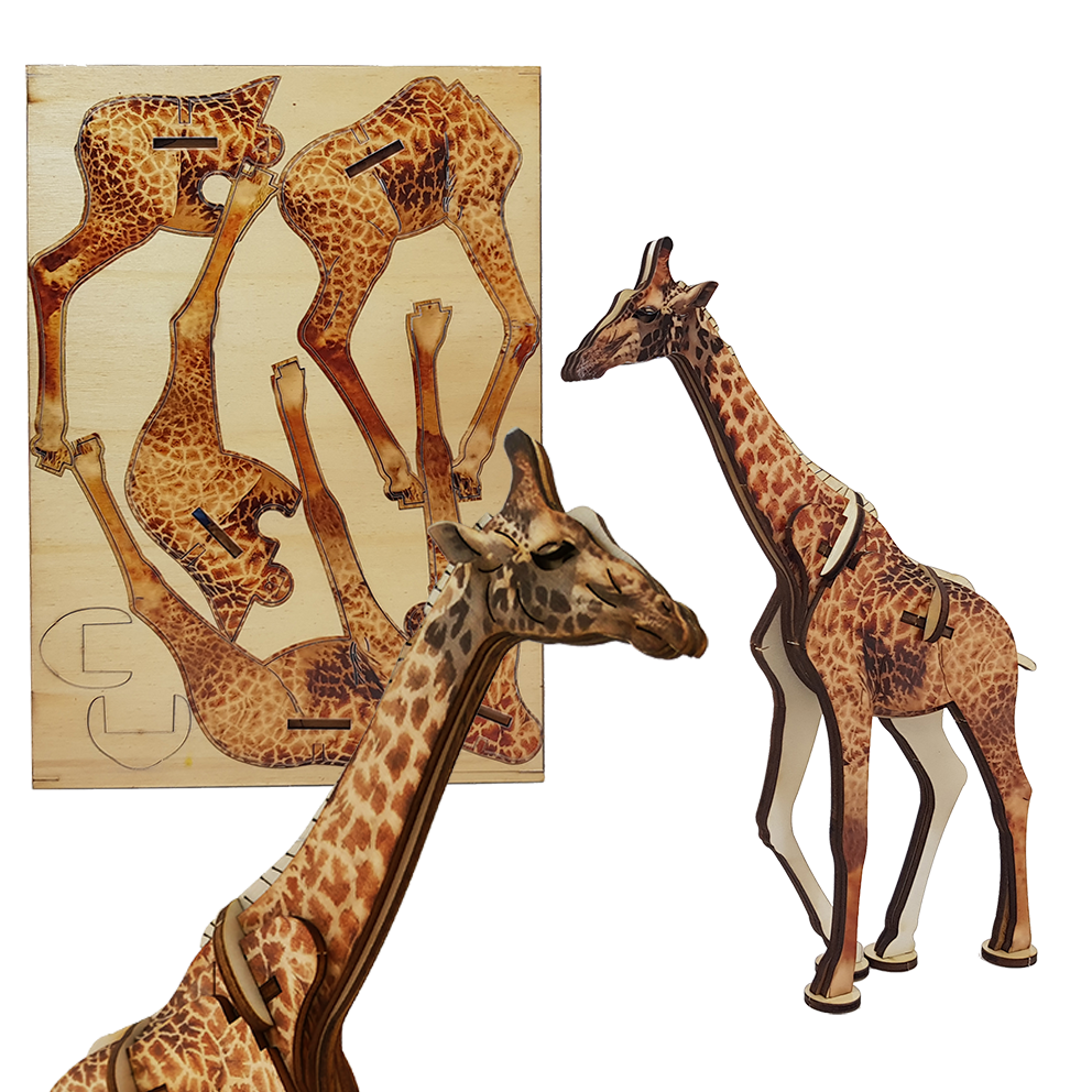 Giraffe / colored