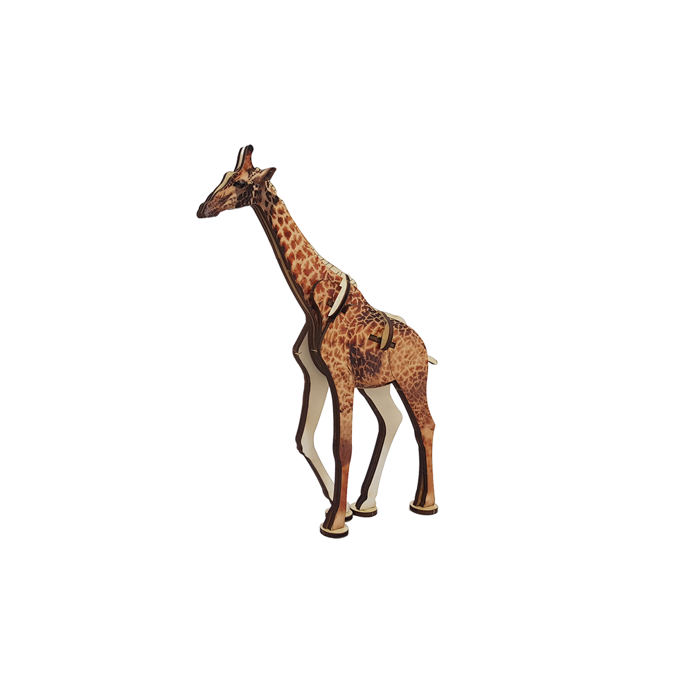 Giraffe / colored
