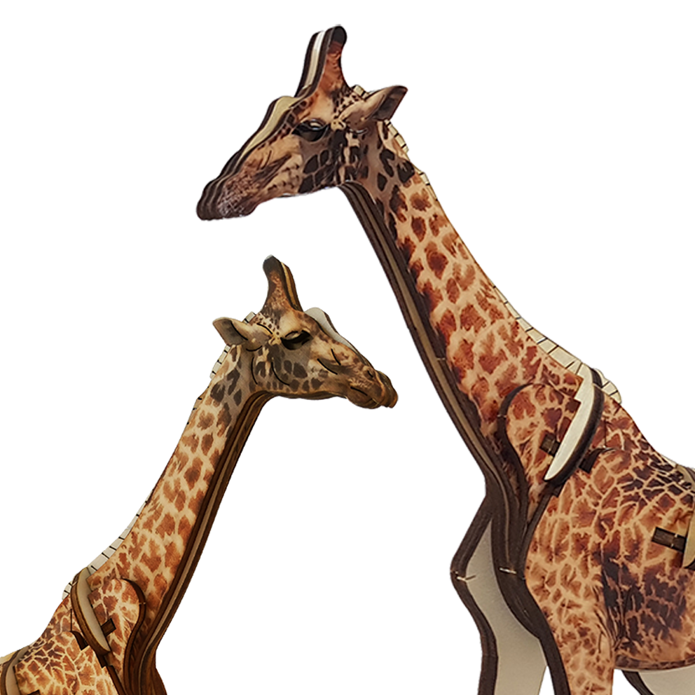 Giraffe – small /colored