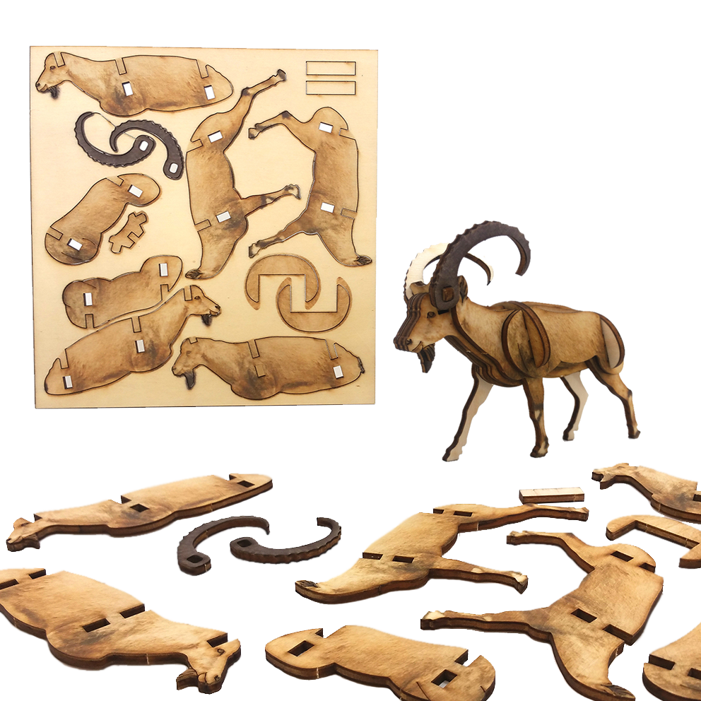 Ibex – colored