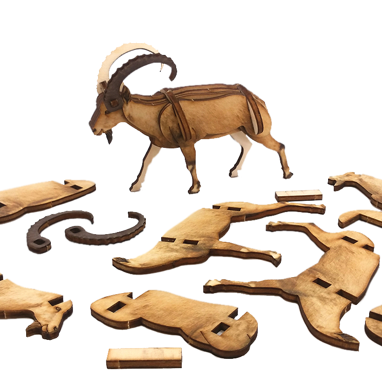 Ibex – colored