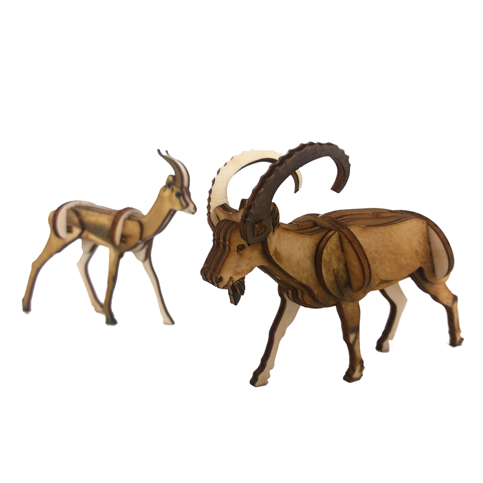 Ibex – colored