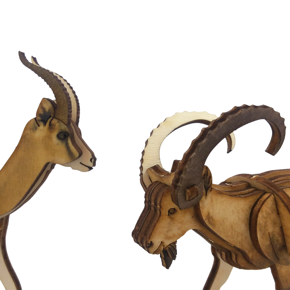 Ibex – colored