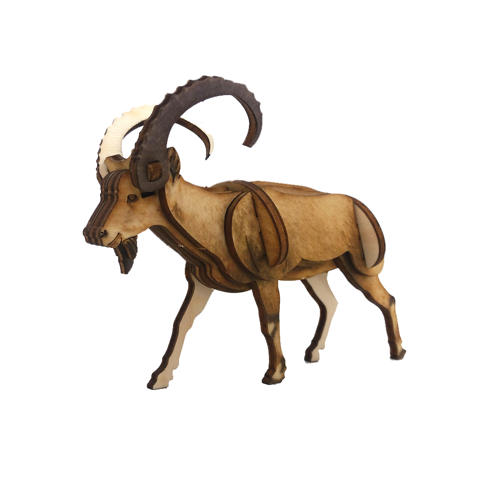 Ibex – colored