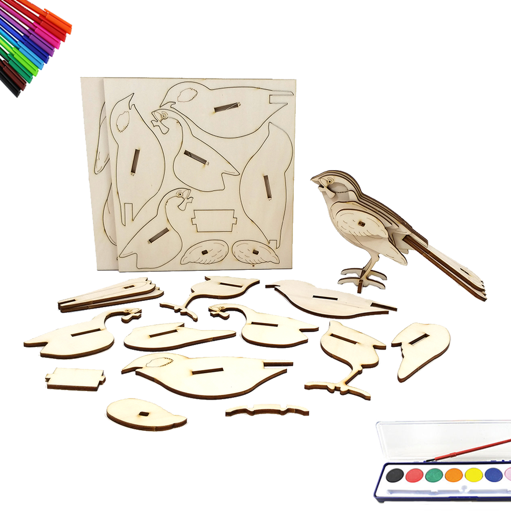 Israeli Common Bird (DIY)