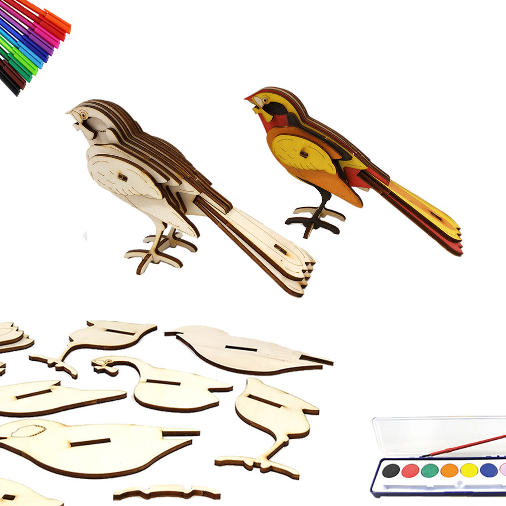 Israeli Common Bird (DIY)
