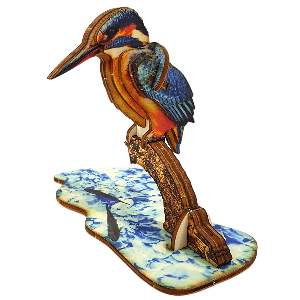 Kingfisher