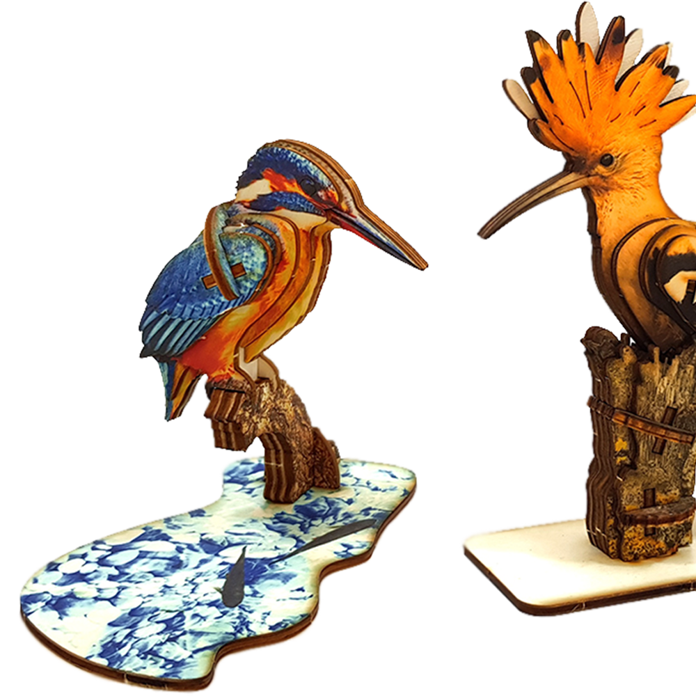 Kingfisher