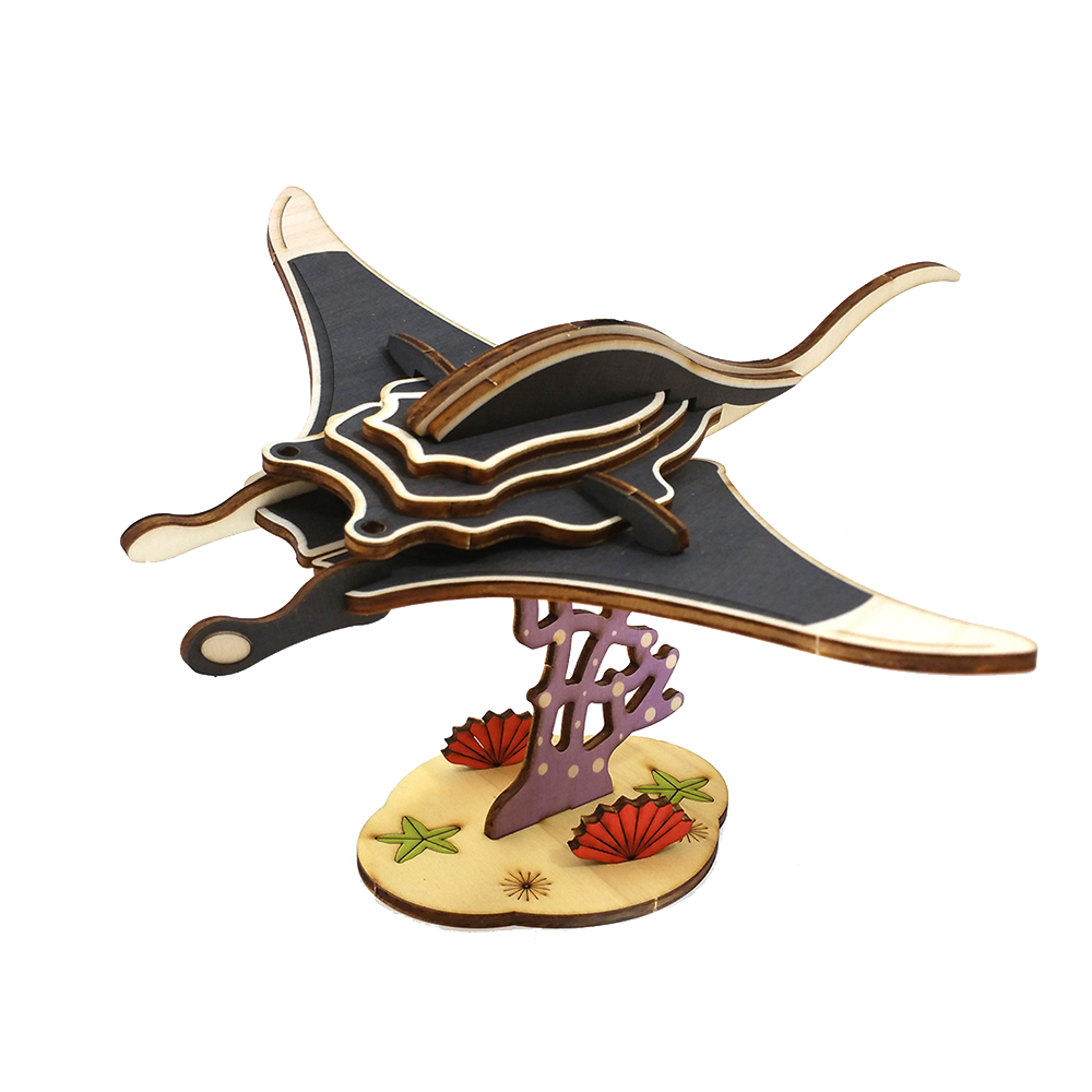Manta Ray Fish / colored
