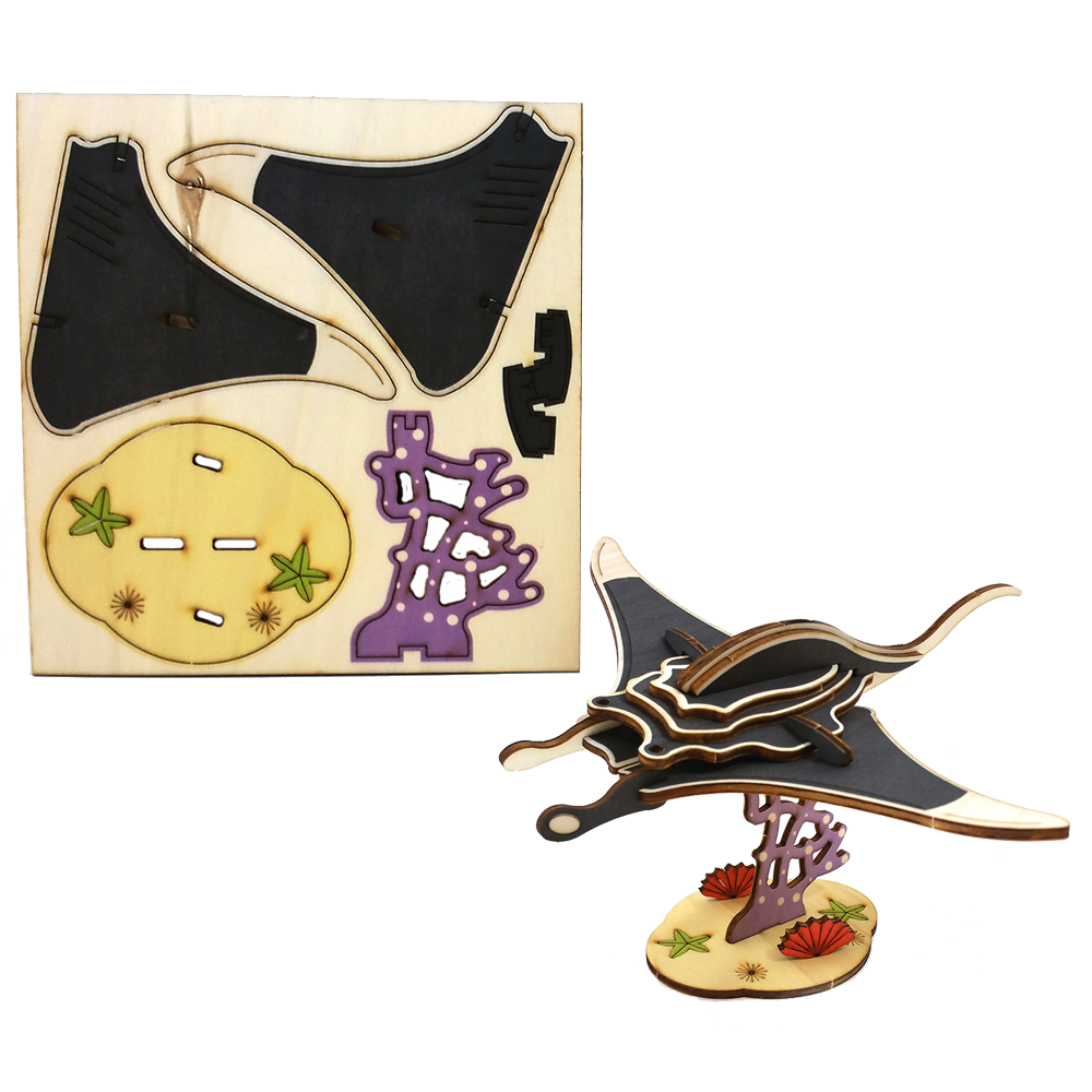 Manta Ray Fish / colored