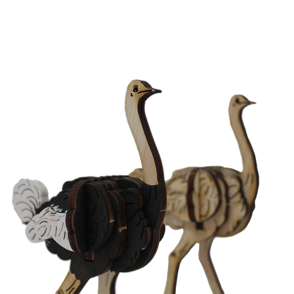 Ostrich