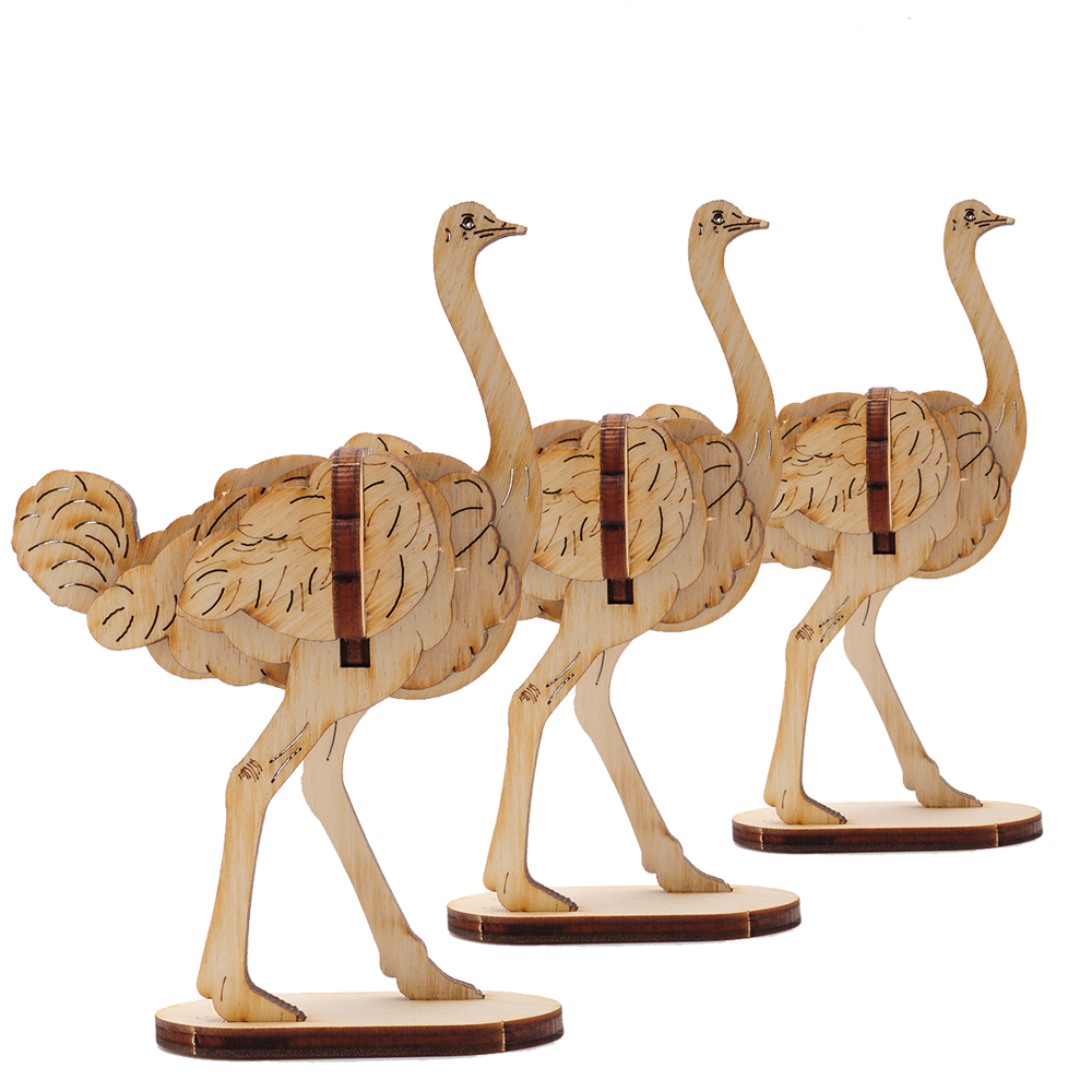 Ostrich