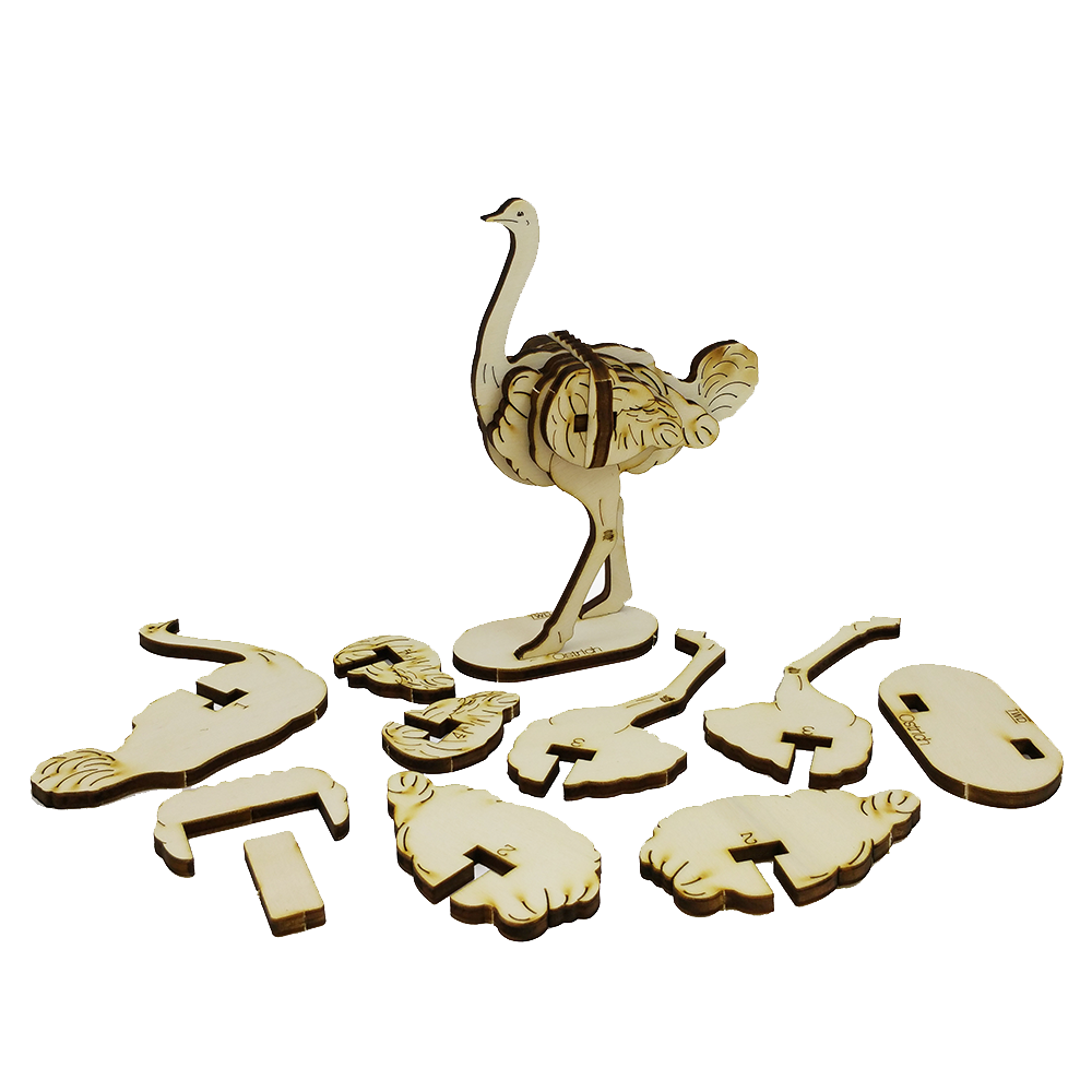 Ostrich